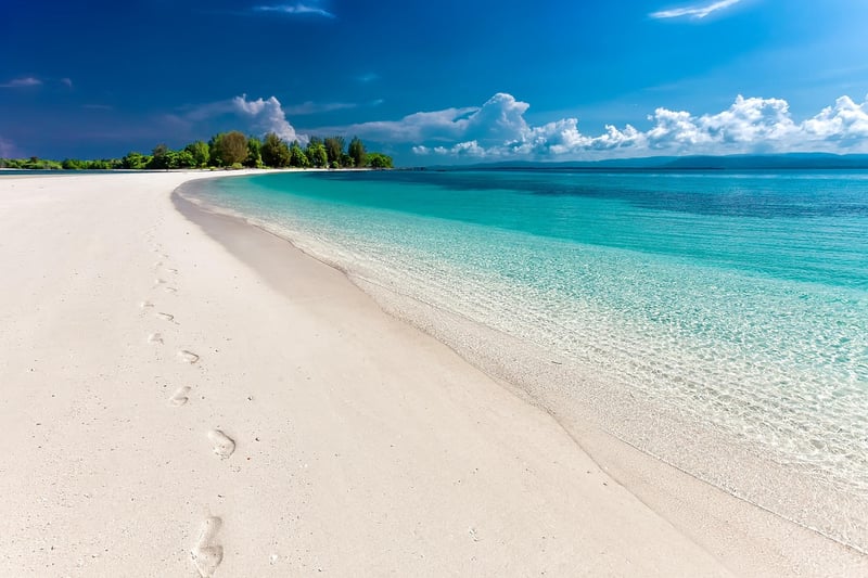 Beach Wellness Escape